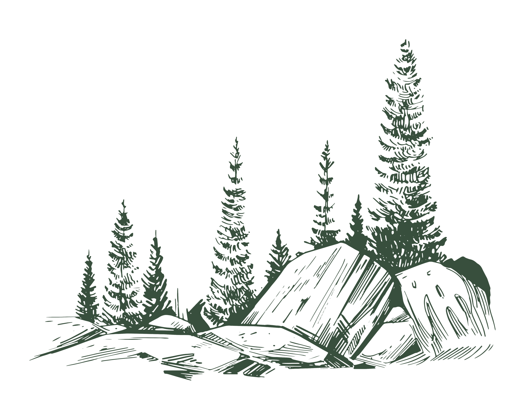 Mountain Forest with rocks